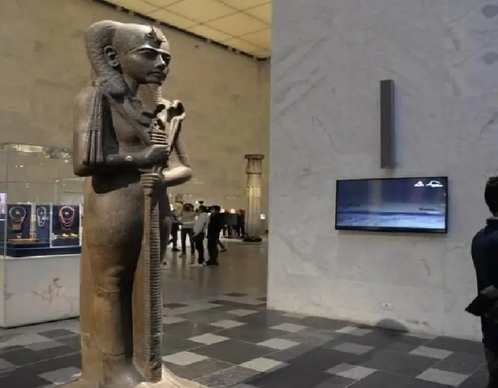 Private Layover short Tour to The NEMC Museum In Cairo